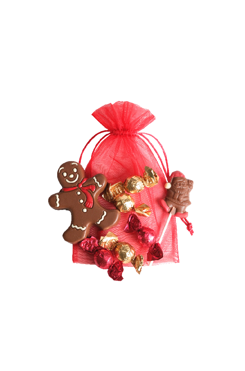 pochon de Noël garni de chocolats pour enfants - confiserie Florian